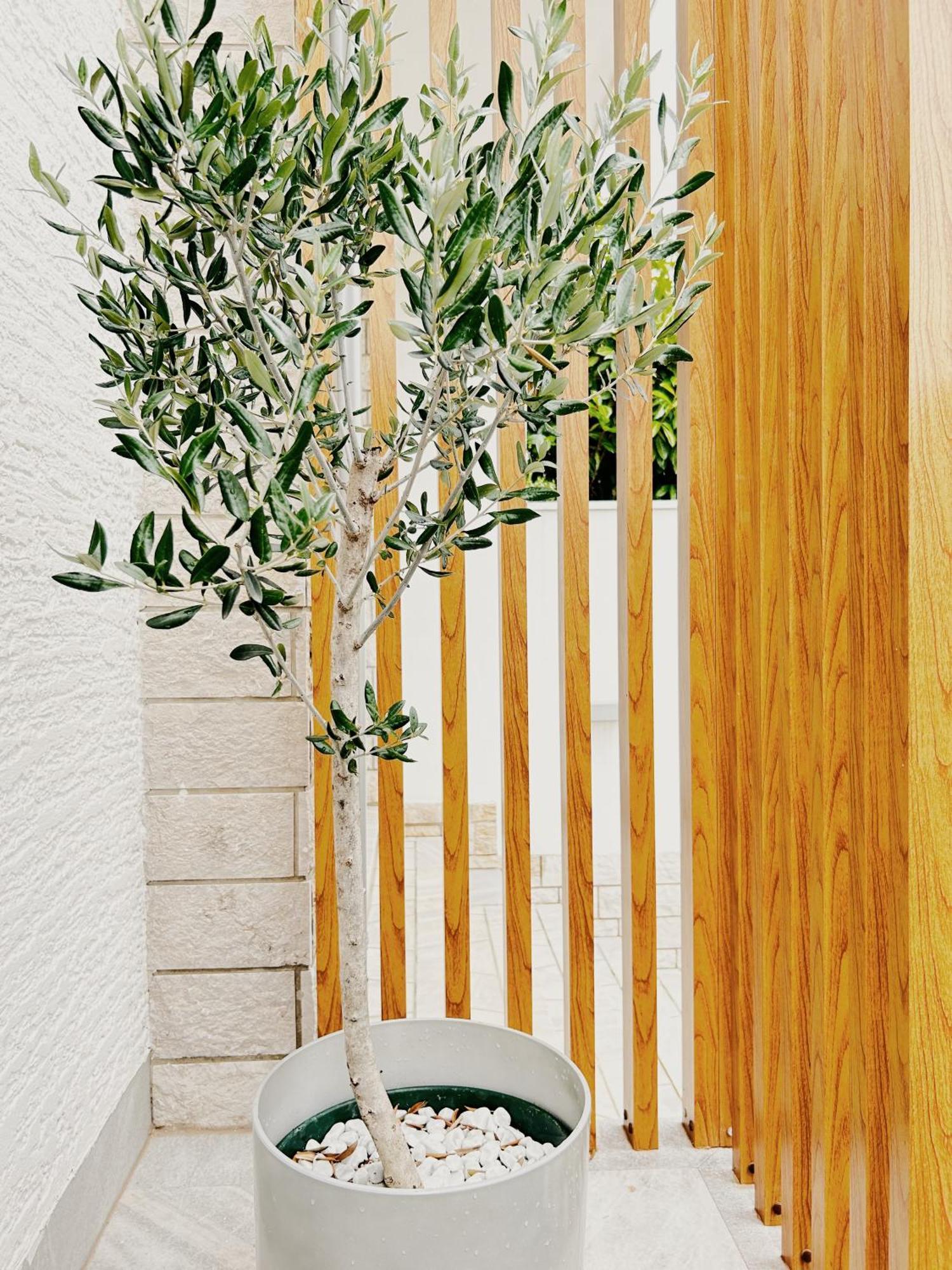 Sunny House Apartment Zambratija  Bagian luar foto